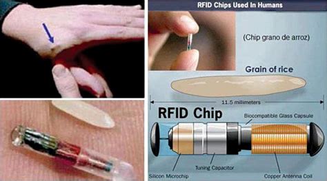 rfid chip study|who makes the rfid chip.